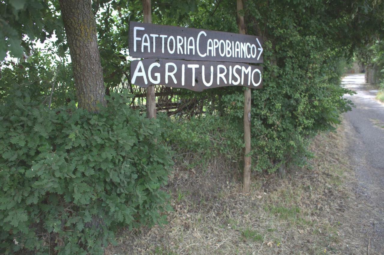 Fattoria Capobianco Villa Montefiascone Exteriör bild
