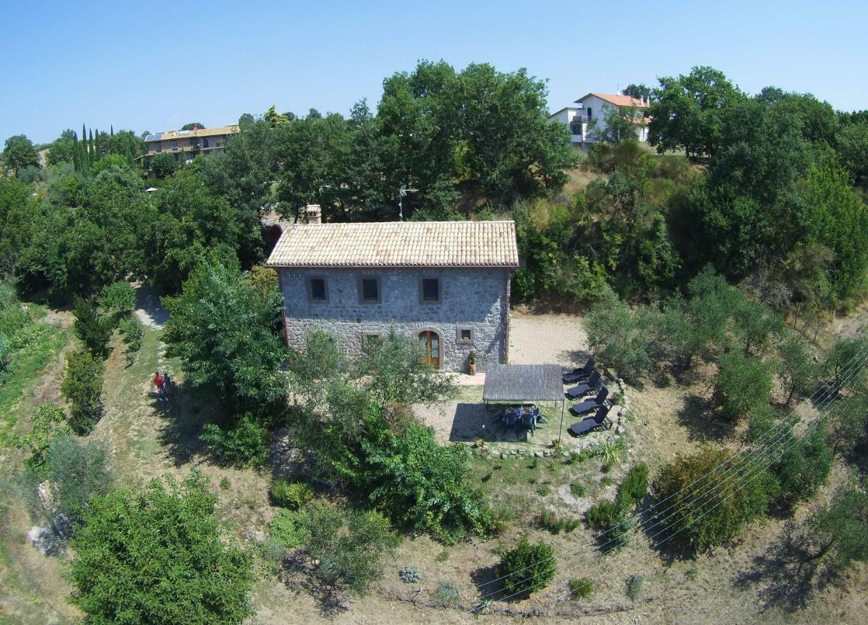 Fattoria Capobianco Villa Montefiascone Exteriör bild